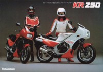 Kawasaki KR250 (Japan) Page 1