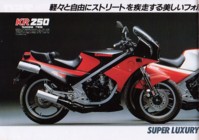 Kawasaki KR250 (Japan) Page 2