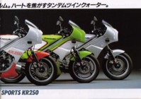 Kawasaki KR250 (Japan) Page 3