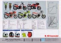 Kawasaki KR250 (Japan) Page 8